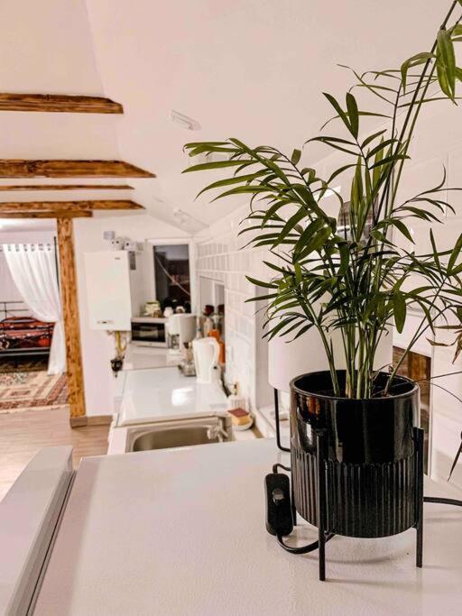 Garage Apartment Râșnov Extérieur photo